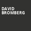 David Bromberg, Tarrytown Music Hall, New York