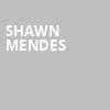 Shawn Mendes, Prudential Center, New York