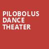 Pilobolus Dance Theater, Victoria Theater, New York