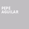 Pepe Aguilar, Hulu Theater at Madison Square Garden, New York