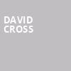David Cross, Irving Plaza, New York