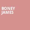 Boney James, Bergen Performing Arts Center, New York