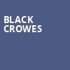 Black Crowes, Radio City Music Hall, New York