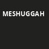 Meshuggah, Hammerstein Ballroom, New York