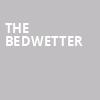The Bedwetter, Linda Gross Theater, New York