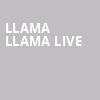 Llama Llama Live, Tarrytown Music Hall, New York