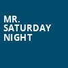 Mr Saturday Night, Nederlander Theater, New York