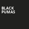 Black Pumas, Radio City Music Hall, New York