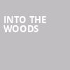 Into the Woods, St James Theater, New York