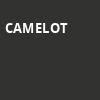 Camelot, Vivian Beaumont Theater, New York