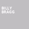 Billy Bragg, Town Hall Theater, New York