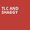TLC and Shaggy, Northwell Health, New York