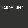 Larry June, Hammerstein Ballroom, New York
