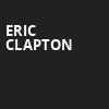 Eric Clapton, Madison Square Garden, New York