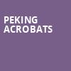 Peking Acrobats, Prudential Hall, New York