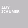 Amy Schumer, Theater at Madison Square Garden, New York